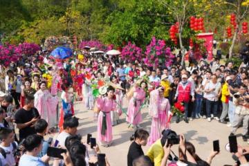 自驾出游好去处，清明假期来东莞观音山遇花神、趣游园，花式春游正当时